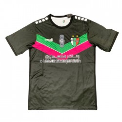 Camisola Club Deportivo Palestino Equipamento Segundo 2022-2023 Manga Corta